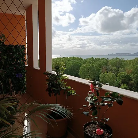 Apartment Tropical