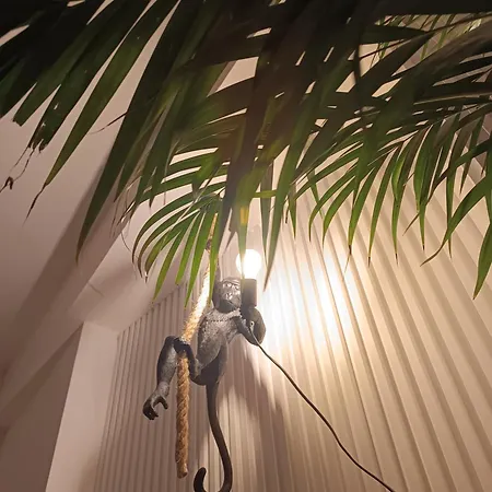 Tropical